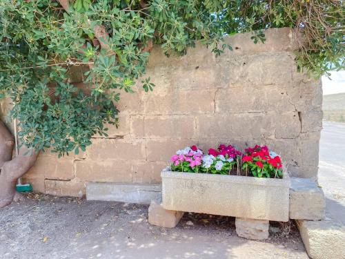 Aparthotel Cortellenica – Photos 2