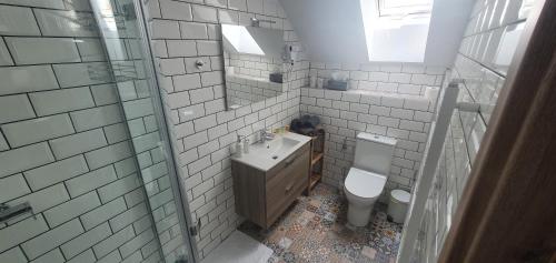 y baño con aseo, lavabo y ducha. en Vinný sklep a penzion U Bobule, en Louka