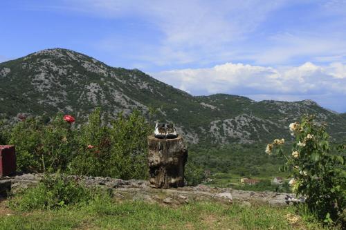 a statue of a cat sitting on top of a tree stump at Rent House Orahovo in Virpazar