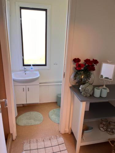 baño con lavabo, ventana y espejo en Tiny House Marielyst en Bøtø By