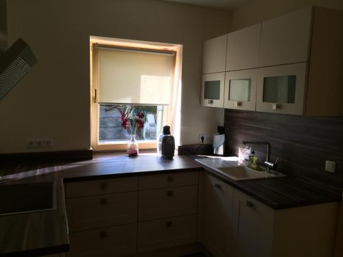 Kuchyň nebo kuchyňský kout v ubytování Apartments Clara