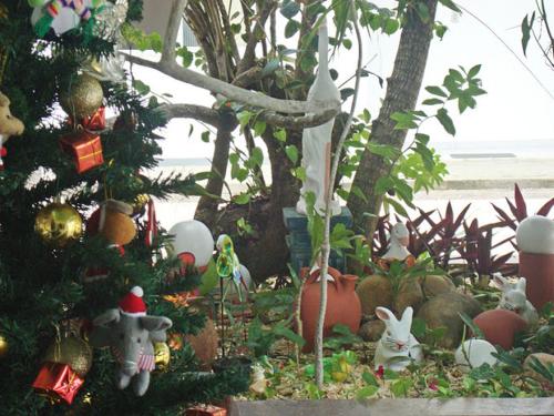 Hotel Pousada Terras do Sem Fimにある庭
