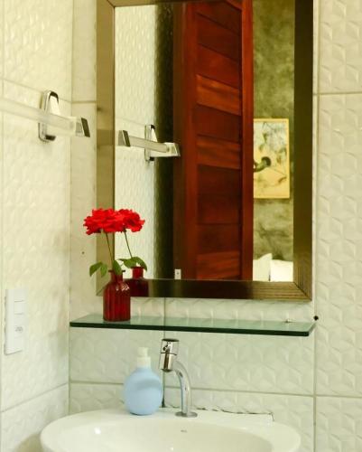 a bathroom sink with a mirror and a red flower at Casa do Tchesko in Viçosa do Ceará