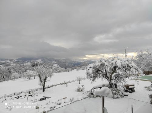 SOUKAVATi TOUSBHITA AKANISHTA KEAJRA im Winter