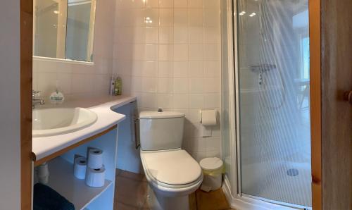 uma casa de banho com um WC, um lavatório e um chuveiro em Tiny House Belleraze em Saint-Jean-de-Minervois