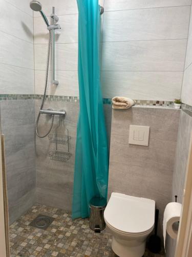 ザトルにあるBatek Homeのバスルーム(トイレ、青いカーテン付きのシャワー付)