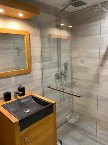 濱海聖西的住宿－LE PLEIN SUD A DEUX PAS DE LA PLAGE，带淋浴和盥洗盆的浴室