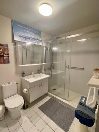 une salle de bain avec une douche, des toilettes et un lavabo dans l'établissement Grand T2 Plein centre historique avec ascenseur, à Saint-Jean-de-Luz