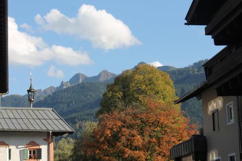 a view of a tree with mountains in the background at Haus Maria in Bruck an der Großglocknerstraße