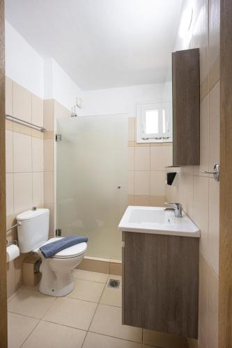 a bathroom with a toilet and a sink at SK Suites Thassos in Skala Potamias