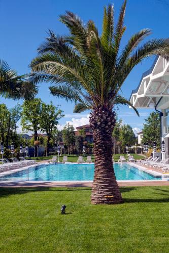 a palm tree in the grass next to a swimming pool at Hotel Premiere Abano in Abano Terme