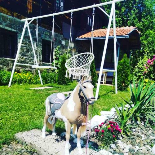 Mascotas con sus dueños en Apartman Koja