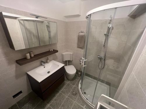 La salle de bains est pourvue d'une douche, d'un lavabo et de toilettes. dans l'établissement Apartments & Rooms Riva, à Piran