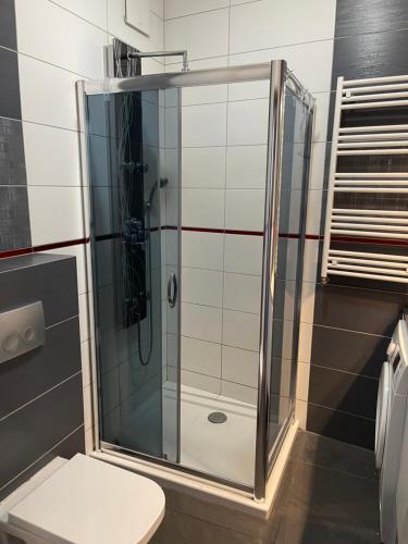 a glass shower in a bathroom with a toilet at Gdynia Apartament 42 m z miejscem w Garażu z Windą blisko centrum i morza in Gdynia