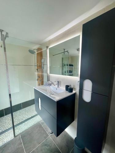 a bathroom with a sink and a glass shower at NEW PROCHE NAUSICAA ! « Mille et Un Rêve » in Boulogne-sur-Mer