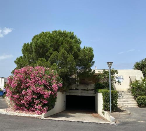 Appartement La Petite Maison – Photos 2