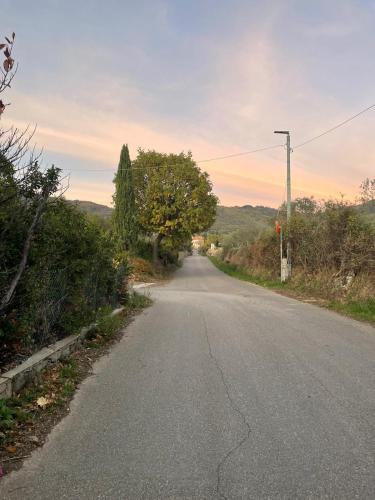 an empty road with trees on the side of the road at Sassaia11 in Arezzo