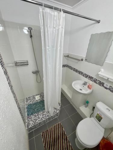 a bathroom with a shower with a toilet and a sink at Hotel Crocus in Bosteri