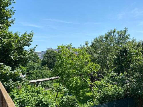 Príroda v okolí apartmánu