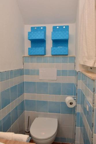 a bathroom with a toilet and two blue tiles at La casetta di Lu Casteddu in San Teodoro