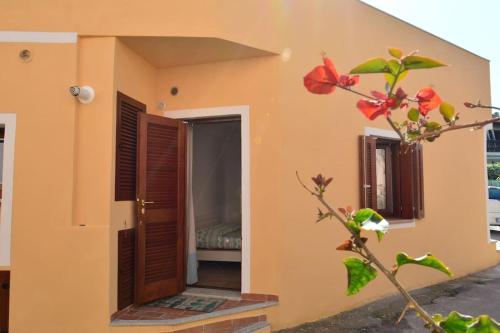 a house with an open door and a plant at La casetta di Lu Casteddu in San Teodoro
