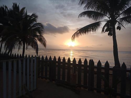a fence and palm trees in front of the ocean at Pal's on the beach - Dangriga, Belize in Dangriga