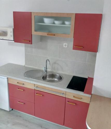Η κουζίνα ή μικρή κουζίνα στο Apartma na vasi