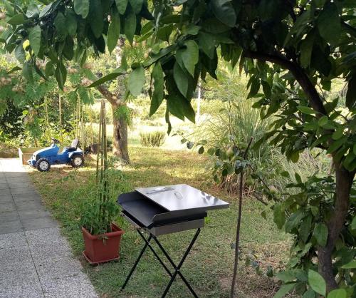 Κήπος έξω από το Apartma na vasi