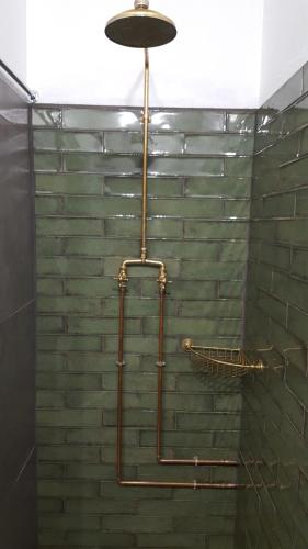 een douche met een handdoekenrek in de badkamer bij Montagu Manor in Montagu