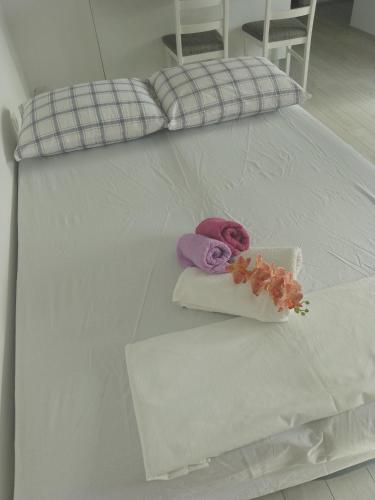 Studio Lucija