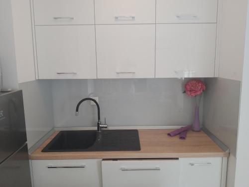 Kuchyň nebo kuchyňský kout v ubytování Studio Lucija