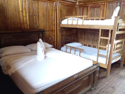 a bedroom with two bunk beds and a ladder at Hostal La Finquita in Palomino