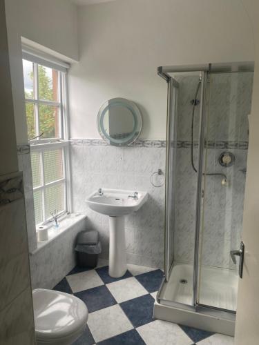 a bathroom with a sink and a shower and a toilet at Five Glens Inn in Manorhamilton