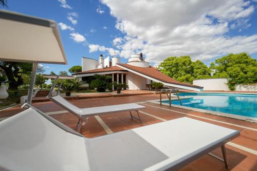 paradise suite – Photos 5
