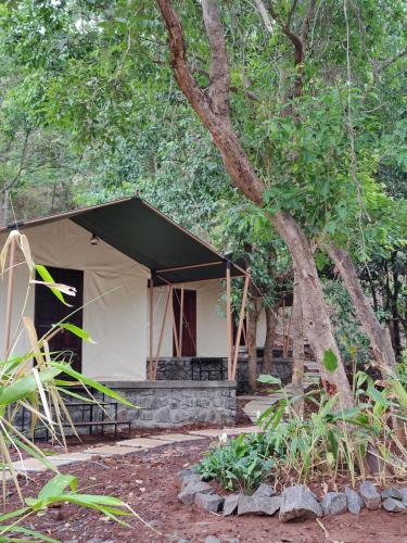a safari tent in the middle of trees at Exotic Stay - a unique experience in Pune