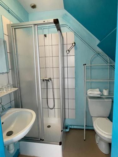 a bathroom with a shower and a toilet and a sink at Auberge Le Beaulieu -Cantal in Beaulieu