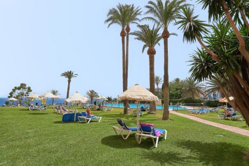 a group of lawn chairs and palm trees in a park at PURA VIDA Luxury apartment with jacuzzi in Torremolinos