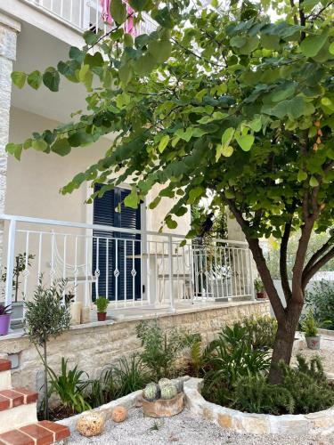 a tree in front of a building with a window at Tani's House in Sarandë