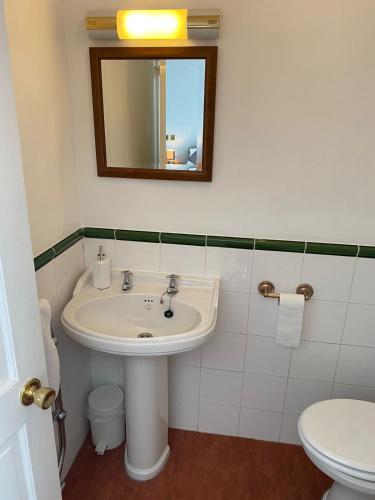 a bathroom with a sink and a mirror and a toilet at The Angel Inn Stourport in Stourport