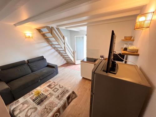 - un salon avec un canapé et une télévision dans l'établissement Appartement avec terrasse arborée proche LOURMARIN, à Cadenet