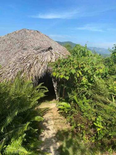 a grass roofed hut with a dirt path in a field at Sea view Casita Eco Casa Algana in Caña Félix