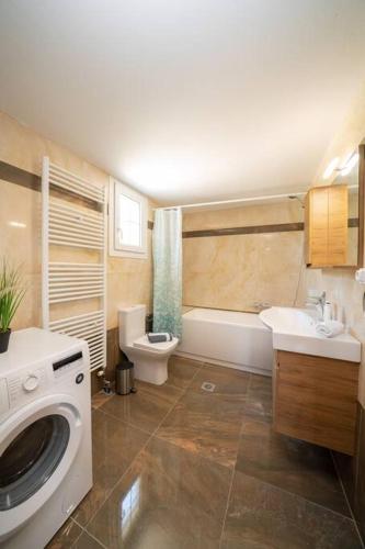 a bathroom with a toilet sink and a washing machine at Villa Erasmia- House 1 ground floor in Sarláta