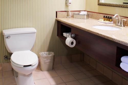 a bathroom with a toilet and a sink at Hotel Burbank in Burbank
