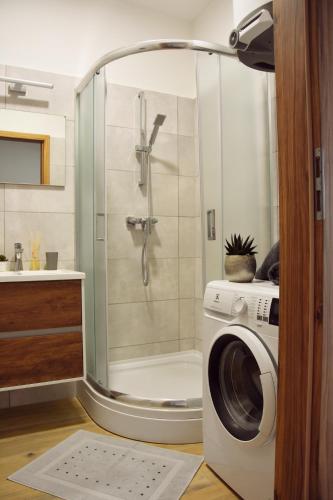 a shower in a bathroom with a washing machine at A12 Home Sárvár in Sárvár