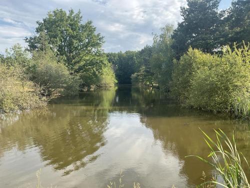 un río con árboles a su lado en Chateau Tout Y Fault, en Loriges