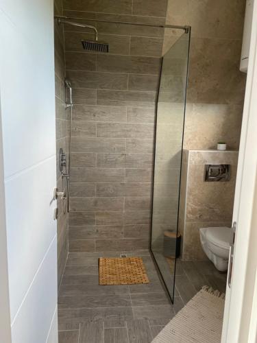 a shower with a glass door and a toilet at Vila Grujic in Vrdnik