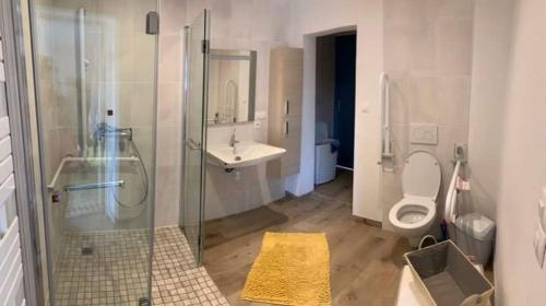 een badkamer met een douche, een toilet en een wastafel bij Charmante maison avec cheminée, grand jardin et boxe chevaux in Saint-Hilaire-sur-Helpe