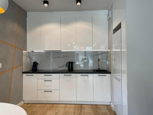 Kuchyňa alebo kuchynka v ubytovaní Olivkowe apartamenty