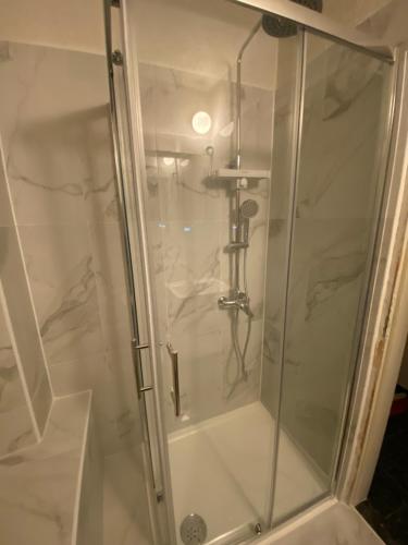普拉的住宿－Apartment Zadarska，浴室里设有玻璃门淋浴