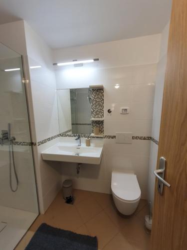 Phòng tắm tại Apartmaji Pregelj